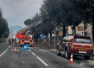 OBAVIJEST! U Ulici Ivana Gundulića bit će orezivanje stabala: uklonite vozila i poštujte signalizaciju