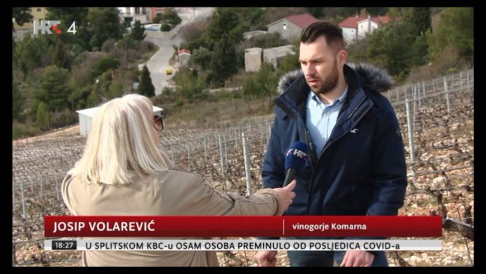 josip volarevic