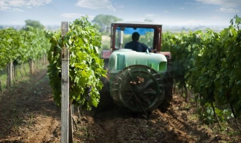 prskanje-vinograda