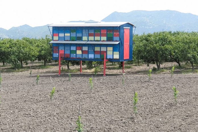 pcele neretva madarine_2022