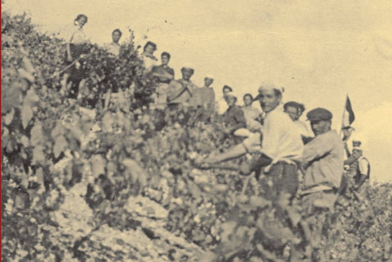 Stoljeća vrgorskog vina i pršuta_