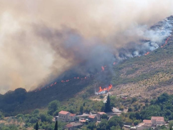 pozar orasac