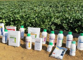 OBAVIJEST! Poziv na dopunsku izobrazbu o održivoj uporabi pesticida u Opuzenu