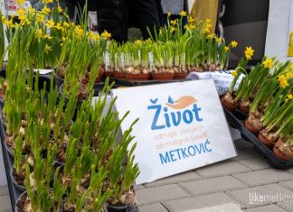 Udruga Život Metković obilježava Dan narcisa – zajedno u borbi protiv karcinoma dojke