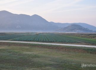 Obavijest o Javnom pozivu za dodjelu potpora u poljoprivredi na području grada Metkovića za 2026. godinu