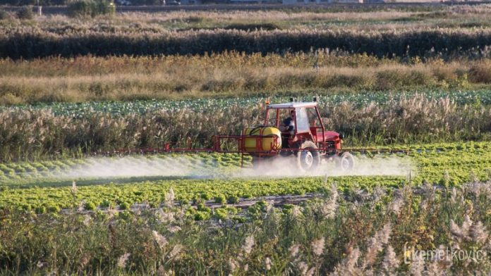 vrbovci zemlja poljoprivreda salata
