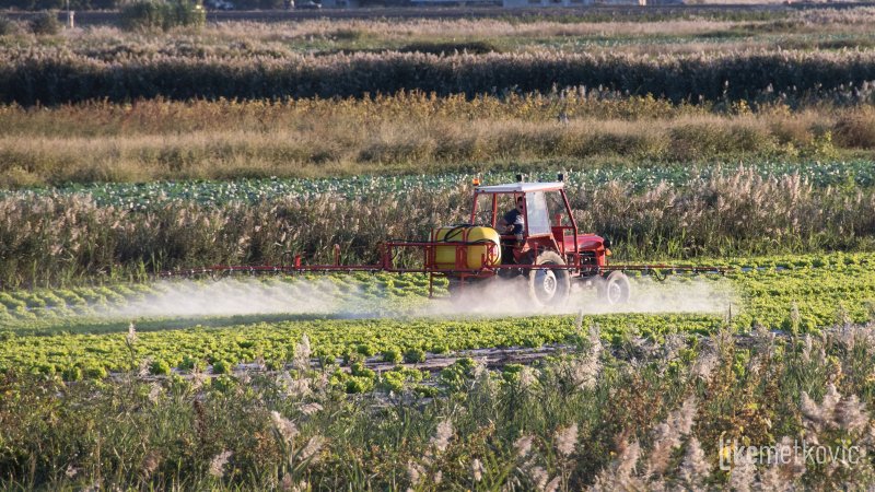 vrbovci zemlja poljoprivreda salata