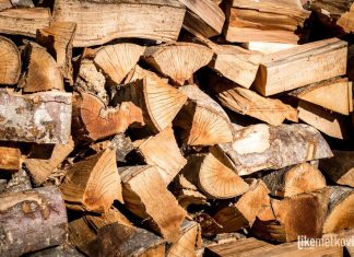 Neviđena pljačka usred zime: hrvatsko drvo ide van, a peleti kod kuće poskupjeli gotovo duplo