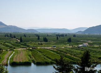OBAVIJEST! Potrebno je provođenje preventivne zaštite nasada agruma od uzročnika bakterijskih i gljivičnih oboljenja