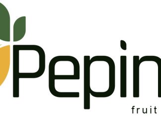 POSAO! Pepino d.o.o. iz Metkovića traži skladištara / vozača za stalno!