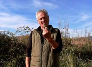 Mala strnadica ponovno u kampu “Brkate sjenice” – rijetkost koja oduševljava ornitologe