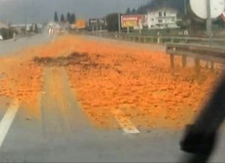 Mandarine na cesti u Opuzenu