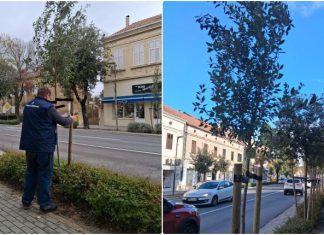 Zasađeno 10 novih stabala česnime i murve u sklopu projekta „Hrvatska prirodno tvoja“