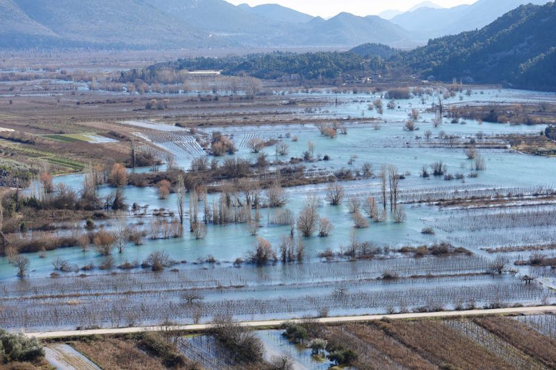 Poplavljeno-vrgoracko-polje_7-divicjure