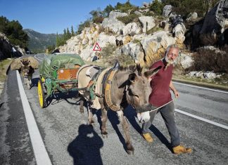 Neobično putovanje kroz Dolinu Neretve: Francuz na magarcu ide prema Indiji
