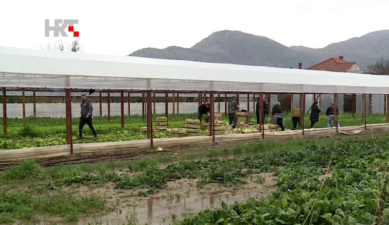 salata-neretva-voda-hrt