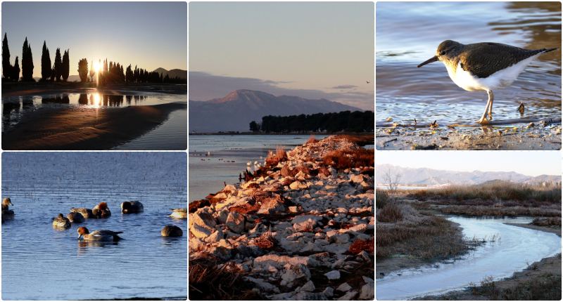 usce-barisa-1-1-2026