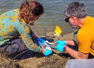Stručnjaci proveli analizu sedimenta s ušća Neretve i okolice Šibenika. Evo što su otkrili…