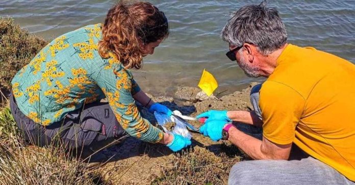 blace-sediment-uzorak