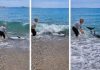 VIDEO | Dupin se nasukao na plaži u Orebiću: dvoje mještana ga je, gurajući svim silama, uspjelo vratiti nazad u more