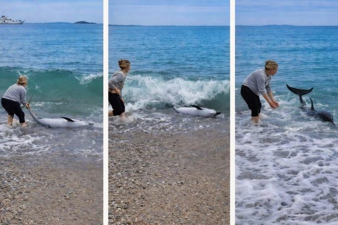 nasukani-dupin-orebic-1