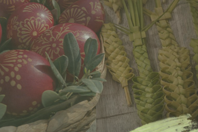 jaja-palme-
