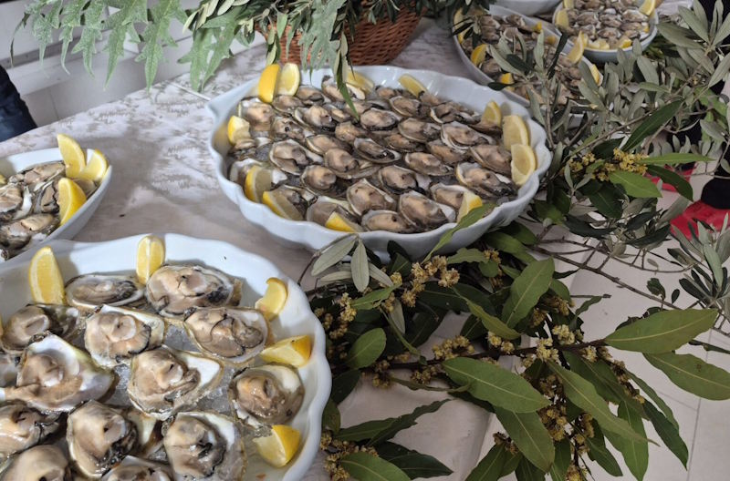 malostonske-kamenice-2026-dnž