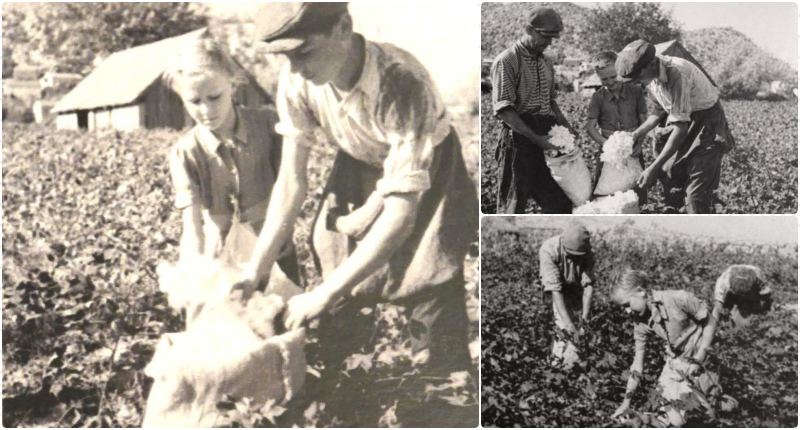 pamukj-neretva-mariotalajic