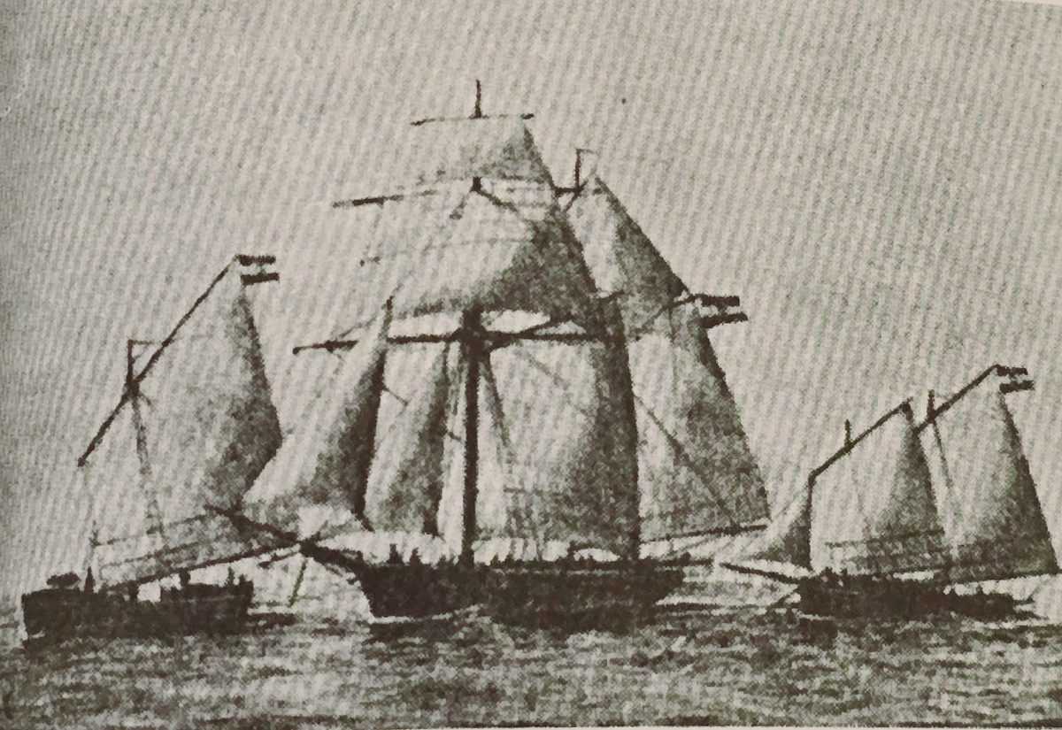 panisa-narenta-mtalajic