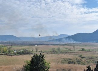 Požari tršćaka u dolini Neretve pod nadzorom, sumnja na podmetanje