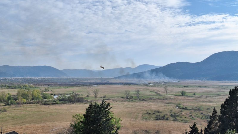 pozar-trscak-kodvida