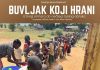 NAJAVA! Srednja škola Metković organizira humanitarnu akciju pod nazivom „Buvljak koji hrani”