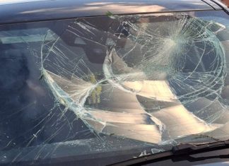 U Kominu stabla oštetila automobile, građani upozoravaju na moguću tragediju