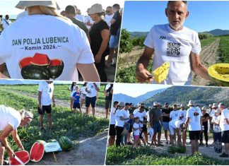 DANI LUBENICA Od žute do bezsjemenske: u Neretvi testiraju nove sorte lubenica
