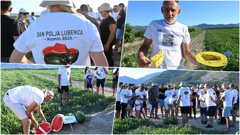 dani-lubenica-komin-2026-