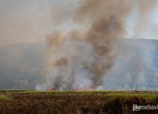 VIDEO Požar se iz blata proširio na brdo, kanader i dalje u akciji, vatrogasci u Prudu