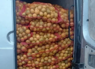 Pokušao u BiH nezakonito unijeti 4,5 tona mandarina iz Hrvatske