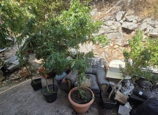 Vozač motocikla u Metkoviću kažnjen s 4.130 eura, policija mu pronašla i četiri stabljike konoplje i laboratorij