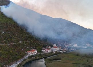 Izbio požar iznad naselja Podrujnica: vatrogasci štite kuće